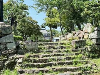 IMG_3010.jpeg IMG_3010.jpeg