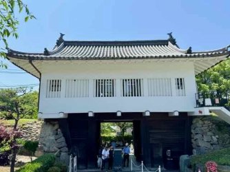 IMG_3014.jpeg IMG_3014.jpeg