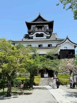 IMG_3015.jpeg IMG_3015.jpeg