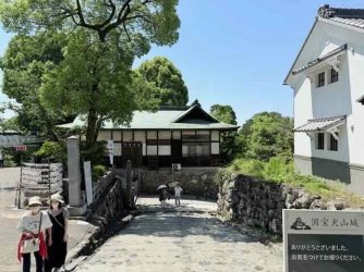 IMG_3019.jpeg IMG_3019.jpeg