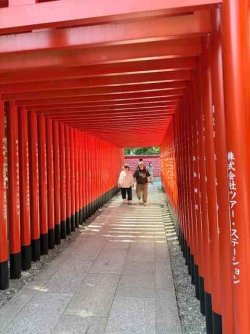 IMG_3025.jpeg IMG_3025.jpeg