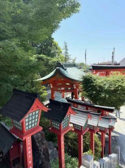 IMG_3036.jpeg IMG_3036.jpeg