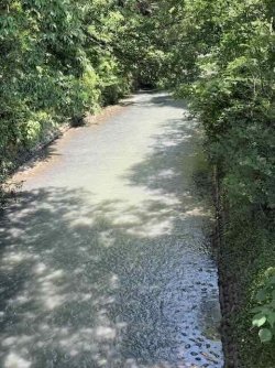 IMG_3038.jpeg IMG_3038.jpeg