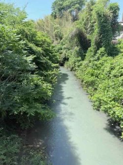 IMG_3041.jpeg IMG_3041.jpeg