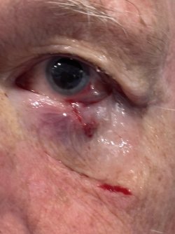 IMG_2602.jpeg IMG_2602.jpeg