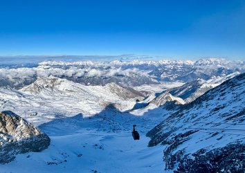 IMG_7298.jpeg IMG_7298.jpeg