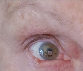 Screenshot_20260130_092658_Messages.jpg Screenshot_20260130_092658_Messages.jpg