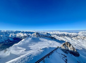 IMG_7315.jpeg IMG_7315.jpeg