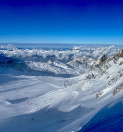 IMG_7319.jpeg IMG_7319.jpeg