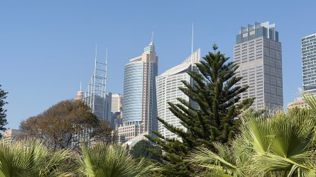 IMG_1971.jpeg IMG_1971.jpeg