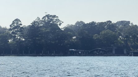 IMG_1970.jpeg IMG_1970.jpeg