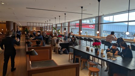 PXL_20251231_075124286.RAW-01.COVER.jpg PXL_20251231_075124286.RAW-01.COVER.jpg