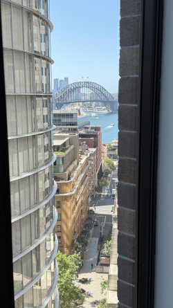 IMG_1966.jpeg IMG_1966.jpeg