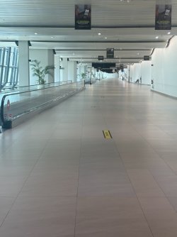 IMG_0898.jpeg IMG_0898.jpeg