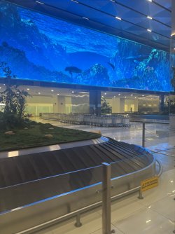 IMG_0900.jpeg IMG_0900.jpeg