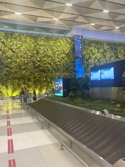 IMG_0901.jpeg IMG_0901.jpeg