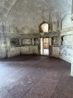 IMG_5874.jpg IMG_5874.jpg