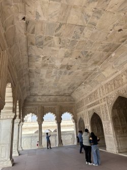 IMG_5885.jpg IMG_5885.jpg