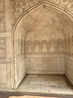 IMG_5886.jpg IMG_5886.jpg