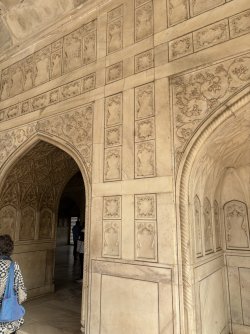 IMG_5887.jpg IMG_5887.jpg