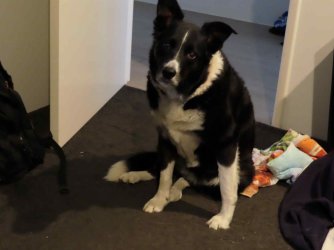 jpeg-optimizer_IMG_0002(8).JPG jpeg-optimizer_IMG_0002(8).JPG