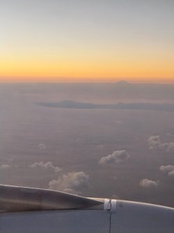 20260201_191954.jpg 20260201_191954.jpg