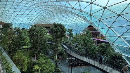 IMG_2071.jpeg IMG_2071.jpeg