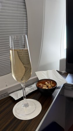 IMG_2096.jpeg IMG_2096.jpeg