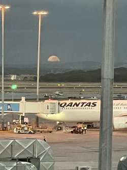 IMG_4798.jpeg IMG_4798.jpeg