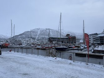 IMG_2786.jpeg IMG_2786.jpeg