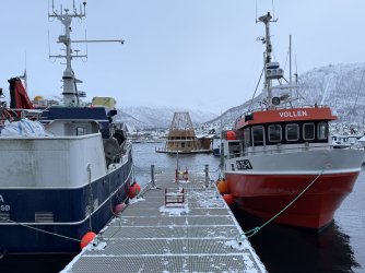 IMG_2788.jpeg IMG_2788.jpeg