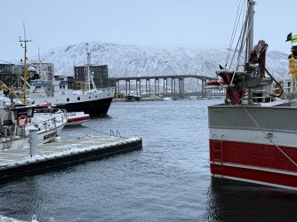 IMG_2789.jpeg IMG_2789.jpeg