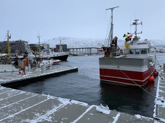 IMG_2790.jpeg IMG_2790.jpeg