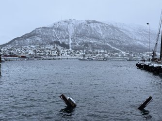 IMG_2795.jpeg IMG_2795.jpeg