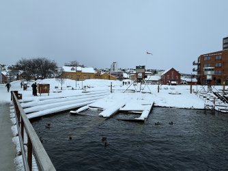 IMG_2797.jpeg IMG_2797.jpeg