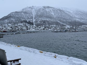 IMG_2799.jpeg IMG_2799.jpeg