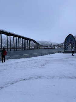 IMG_2800.jpeg IMG_2800.jpeg