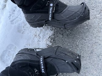 IMG_2804.jpeg IMG_2804.jpeg