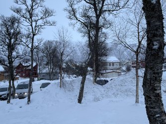 IMG_2812.jpeg IMG_2812.jpeg