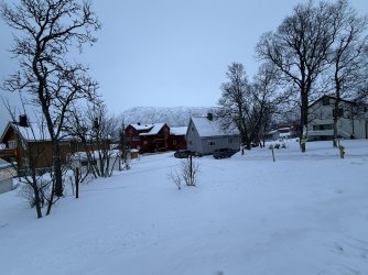 IMG_2815.jpeg IMG_2815.jpeg