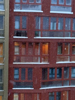 IMG_2824.jpeg IMG_2824.jpeg