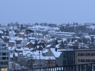 IMG_2829.jpeg IMG_2829.jpeg