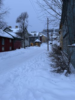 IMG_2831.jpeg IMG_2831.jpeg