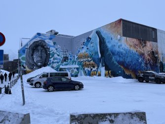 IMG_2835.jpeg IMG_2835.jpeg