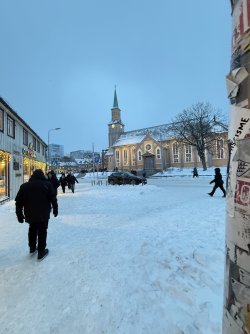 IMG_2844.jpeg IMG_2844.jpeg