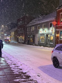 IMG_2882.jpeg IMG_2882.jpeg