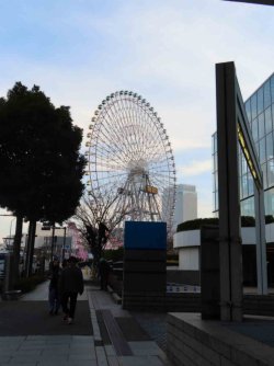 jpeg-optimizer_IMG_0872.JPG jpeg-optimizer_IMG_0872.JPG