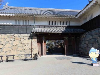 jpeg-optimizer_IMG_0980.JPG jpeg-optimizer_IMG_0980.JPG