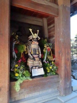 jpeg-optimizer_IMG_0981.JPG jpeg-optimizer_IMG_0981.JPG