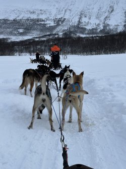 IMG_8752.jpeg IMG_8752.jpeg